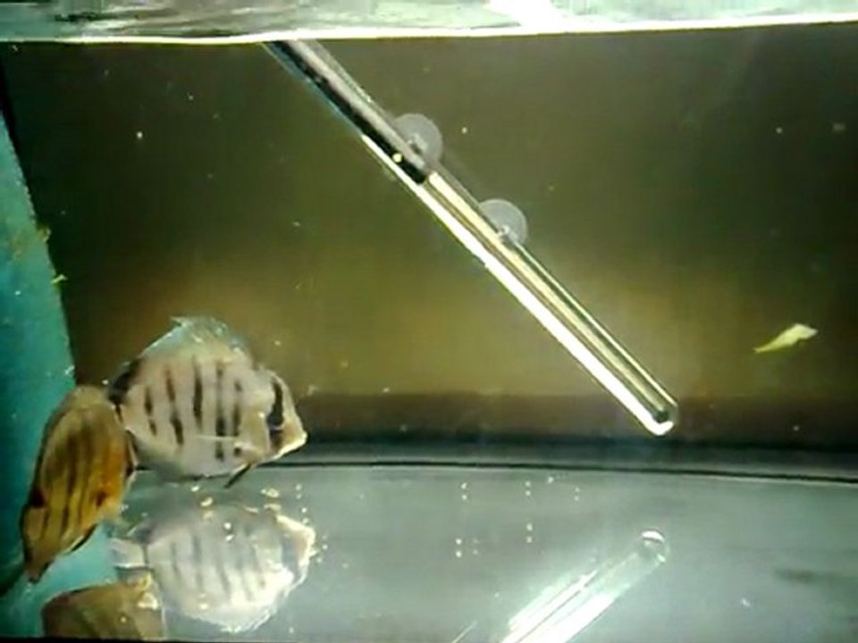 Jour 1 Hôpital 80L Repas 1