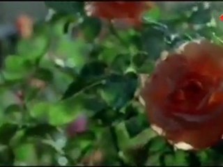 10 Minutes Video from Komaram Puli