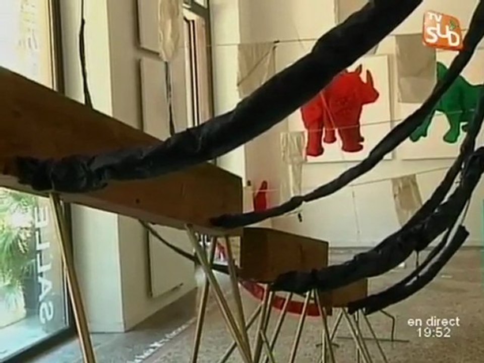 Biennale d'art contemporain 2011 de Nîmes