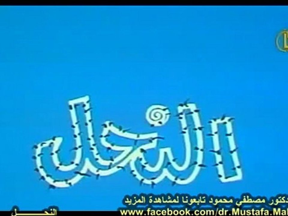 النحــــل | حلقات العلم والإيمان