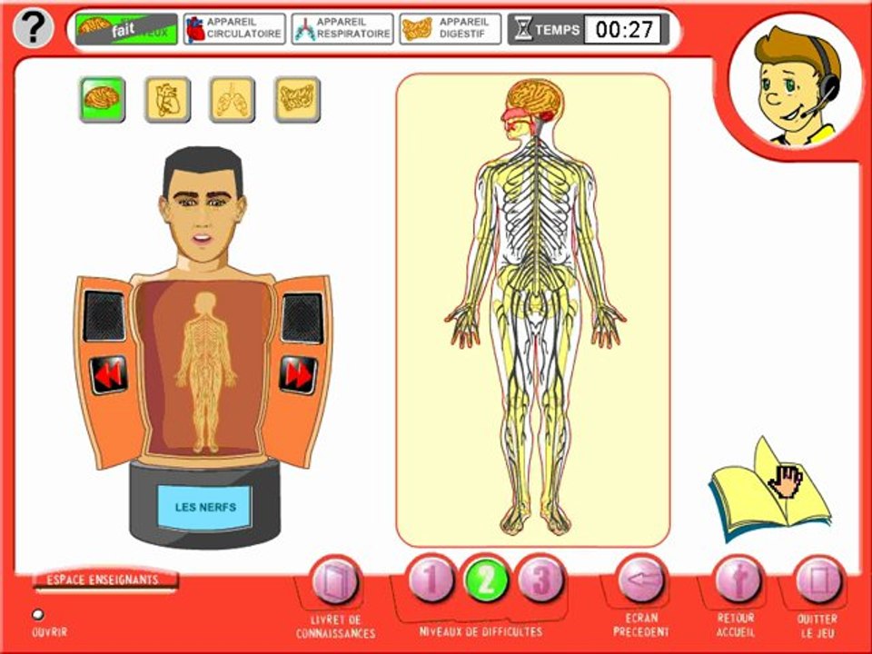 Hector, le système nerveux (niveau 2)