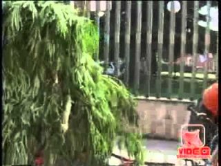 Parete (CE) - Maxisequestro di droga