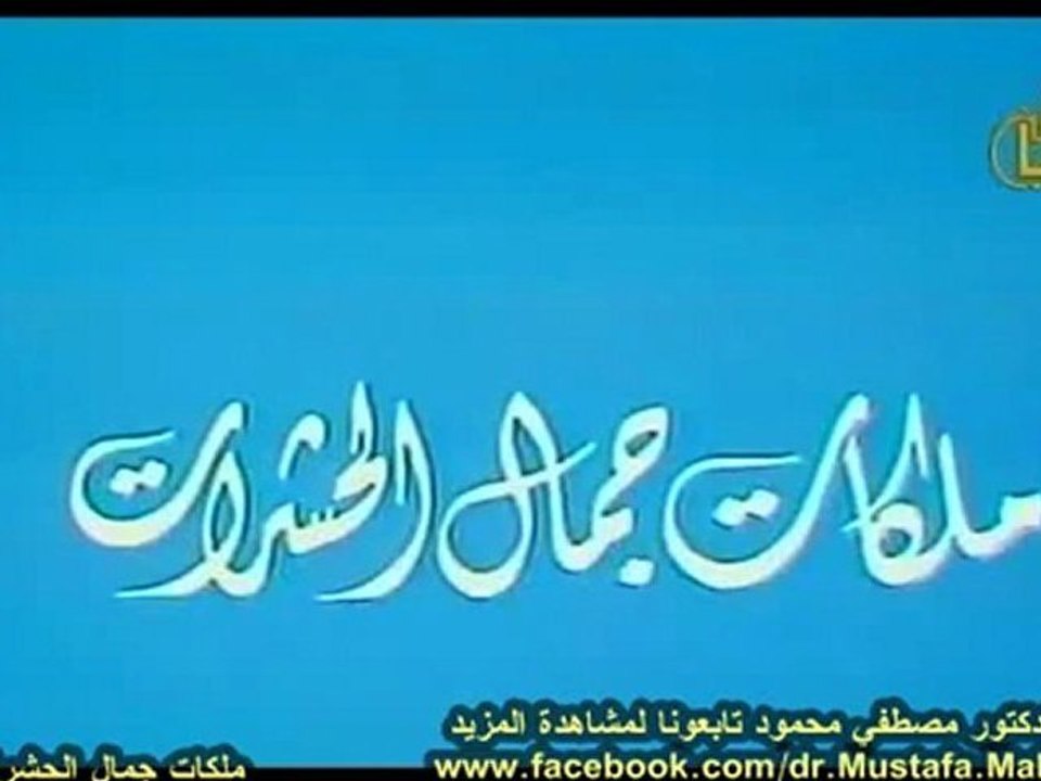 ملكات جمال الحشرات | حلقات العلم والإيمان