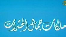 ملكات جمال الحشرات | حلقات العلم والإيمان