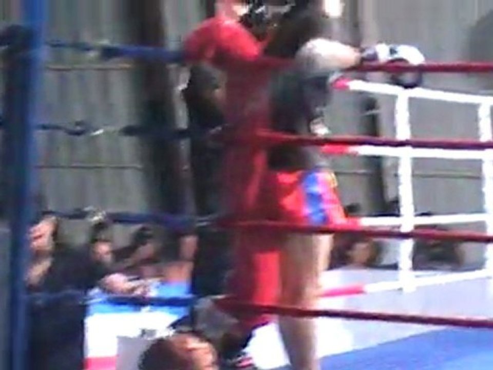 yaz entrée