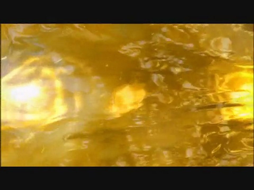 黄金之法8