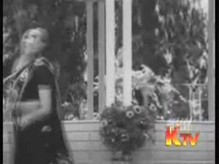 காலைப் பனியில் ஆடும் மலர்களே