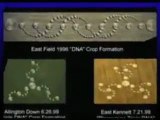 Crop circle: mutation de notre Adn et révélations cosmiques