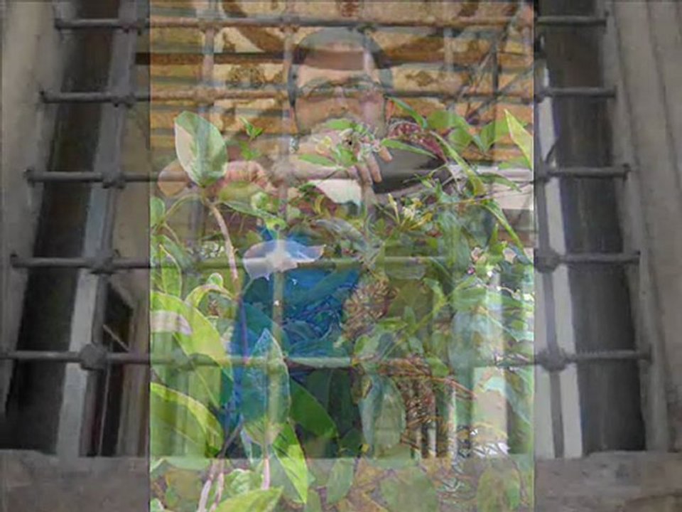 Uğur Demirci-Gazel