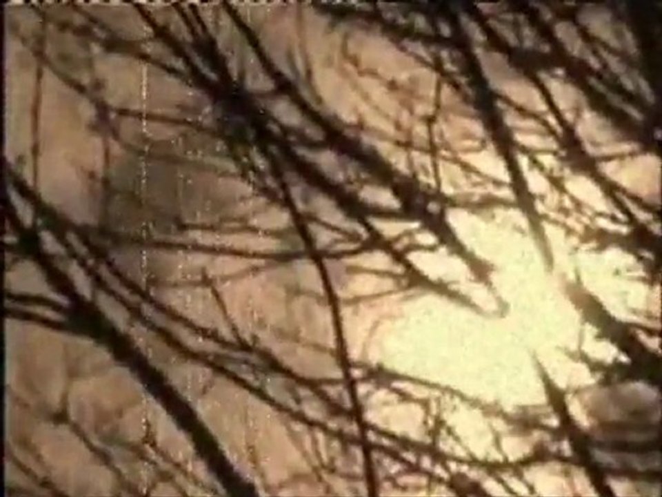 Desireless j'ai besoin de toi ( Video montage christophe Tixier )