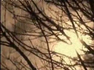 Desireless j'ai besoin de toi ( Video montage christophe Tixier )