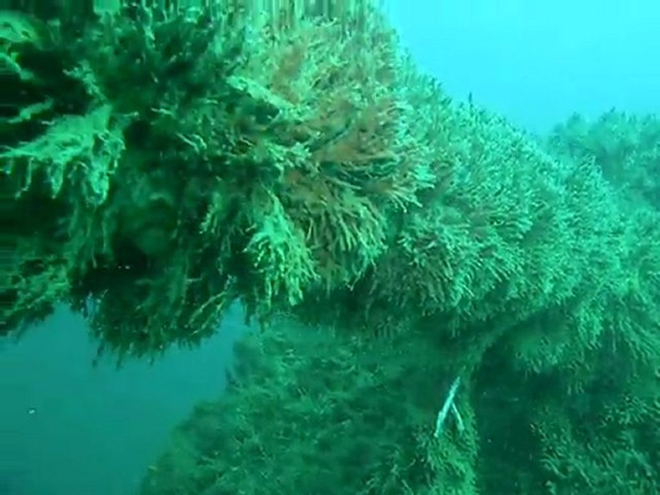 DSCN3333