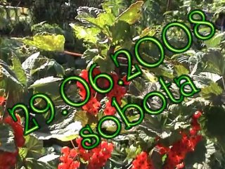 Popoludnie na chatke s Martinou a deťmi