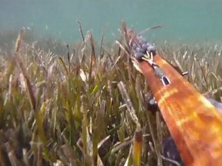 3 juillet 2011 Sanar/mer