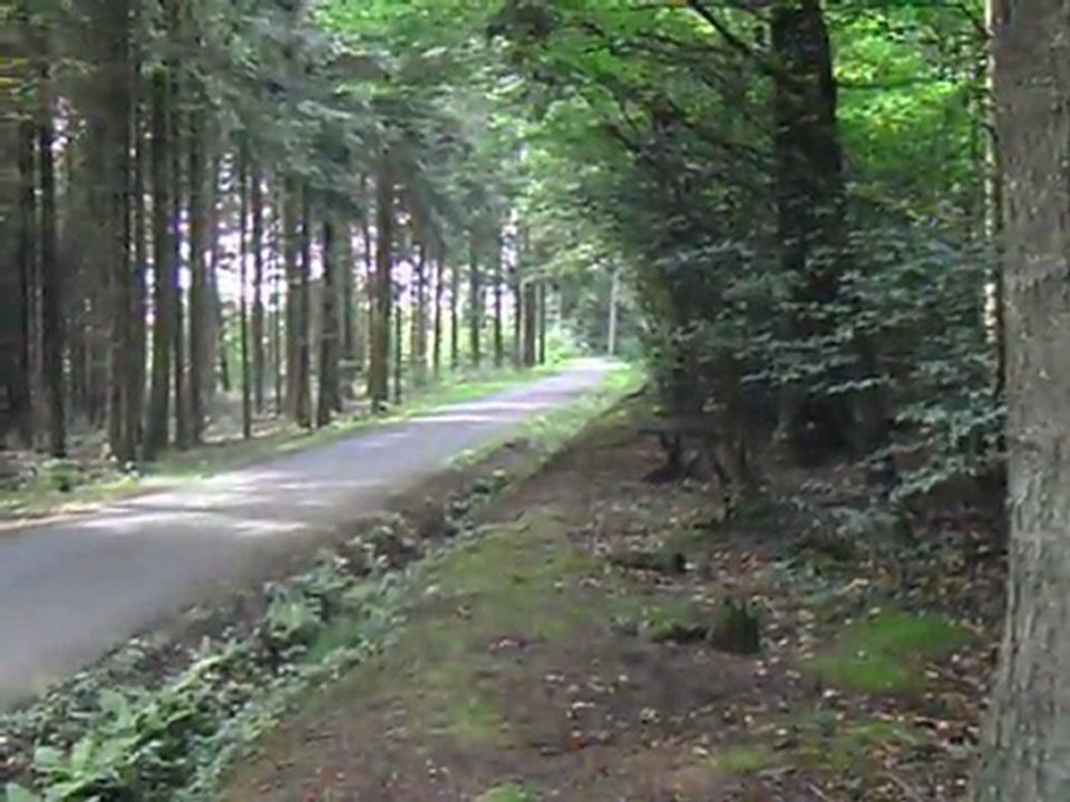 Hirvonen
