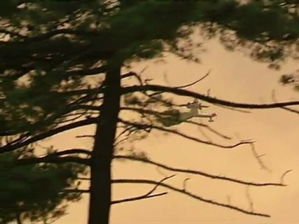 Plus de 250 hectares détruits dans un incendie près de Lacanau