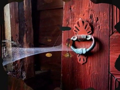 Seyfullah Kartal - Siyah Gözlerine Beni de Götür seslikadro.org