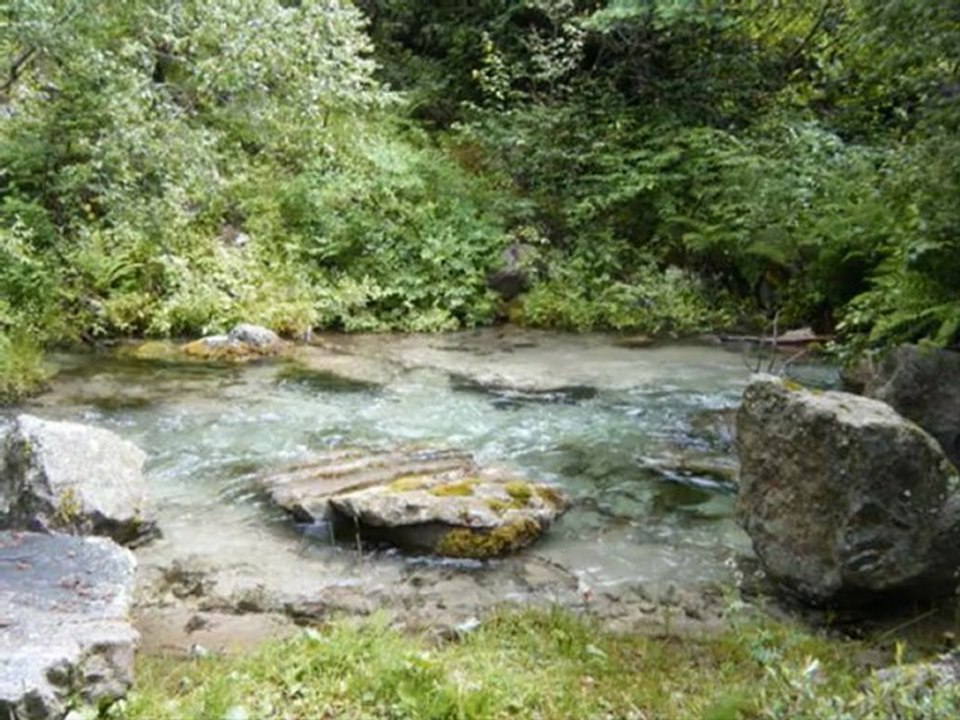 Le forum "La truite et les carnassiers" dans les Alpes