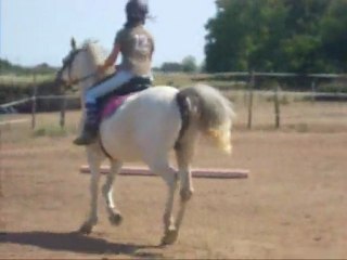 Cours n°1 De demi-pension de Flavie avec Frimousse