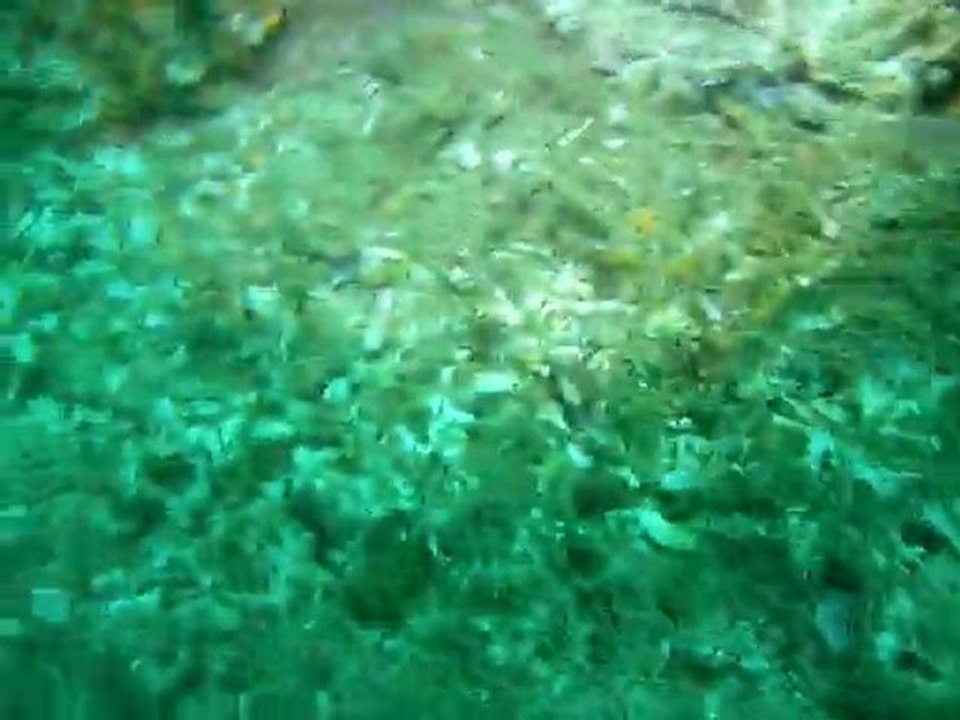 DSCN3338