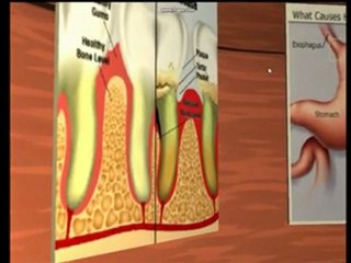 Virtual Human Digestive System Museum