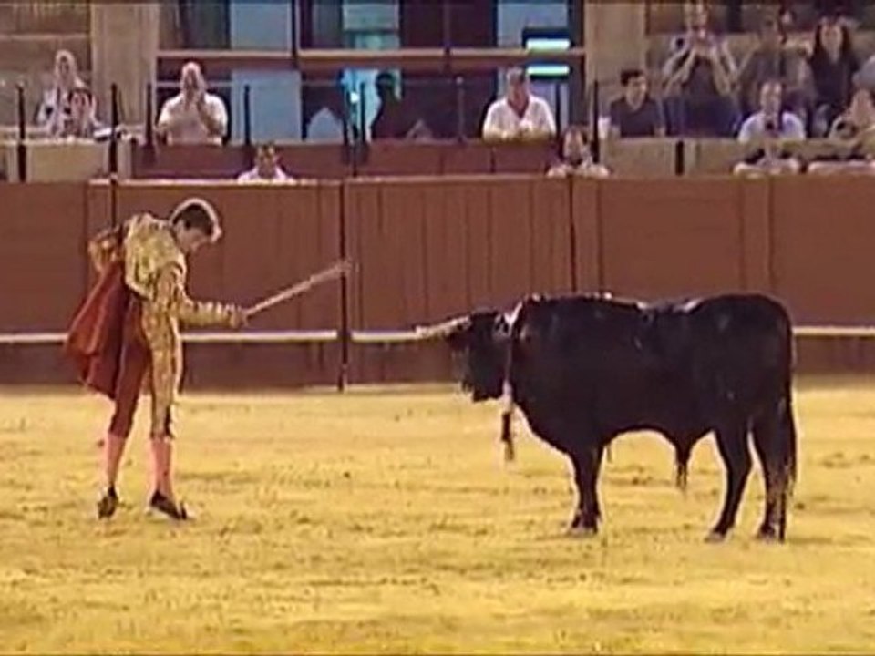 RESUMEN NOVILLADA 30 JUNIO