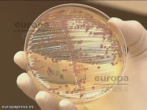 Es difícil que el origen del contagio sea España