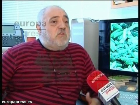 E.Coli es una bacteria que todos tenemos