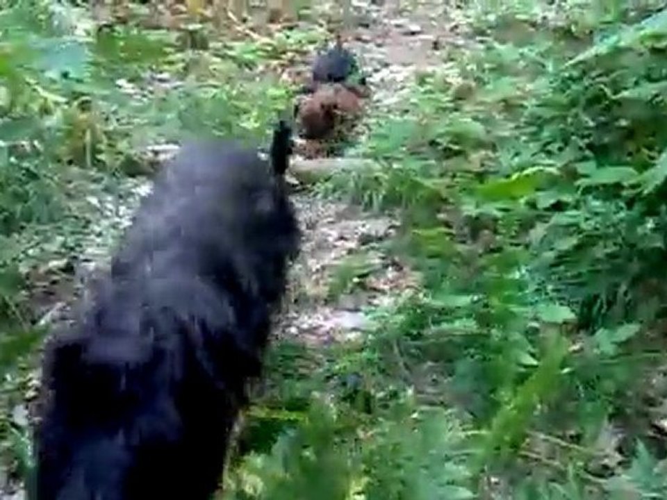 les petites petites en balade