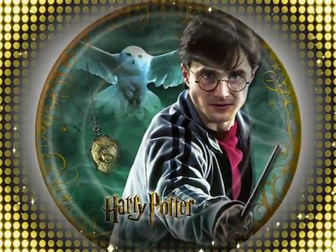 Harry Potter Birthday Party Supplies and Costumes