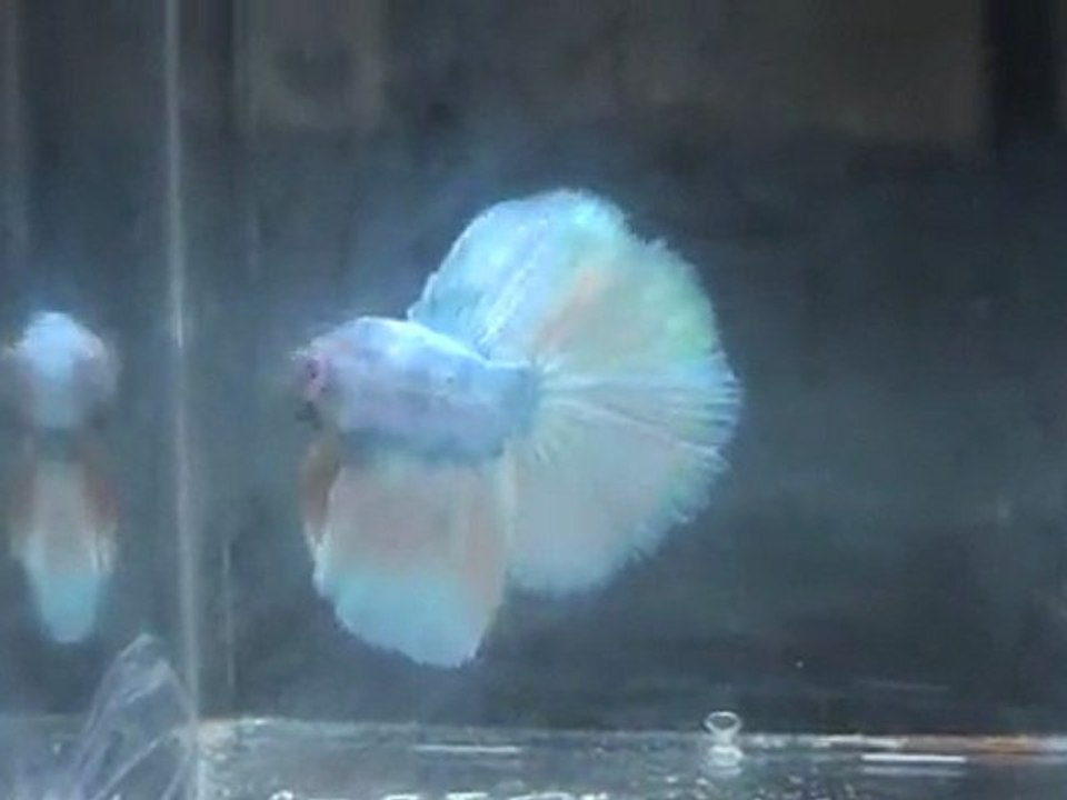 20110701200130
