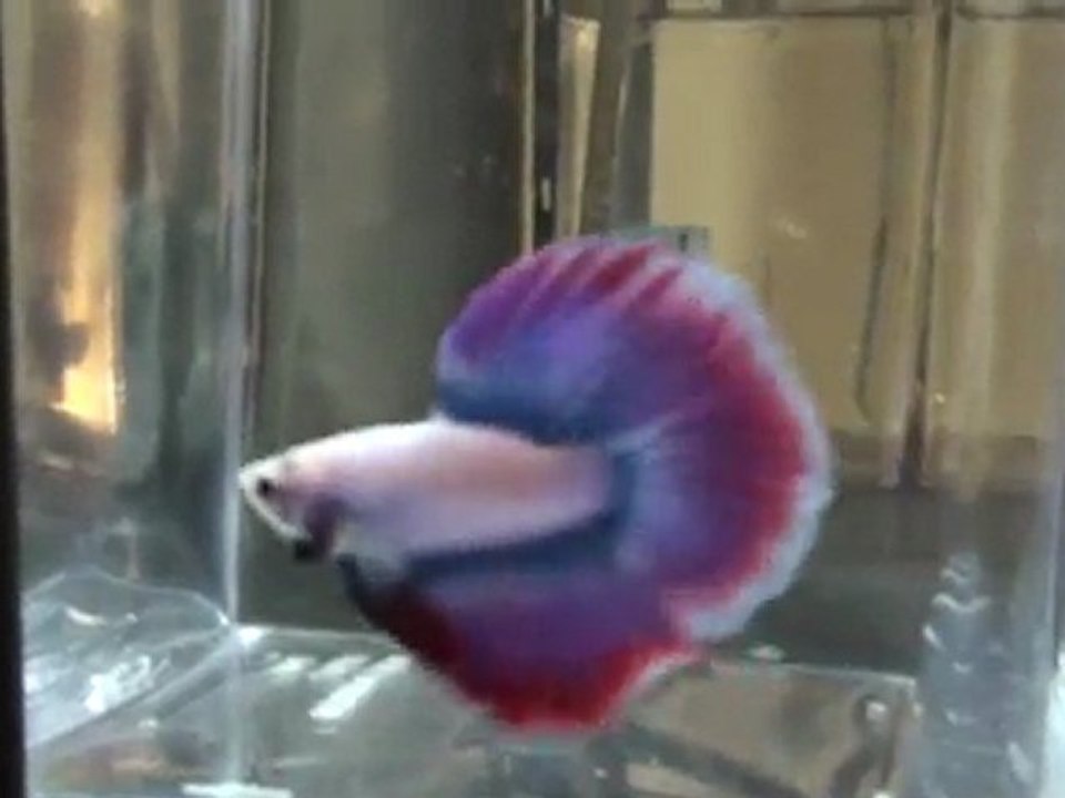 20110701195225
