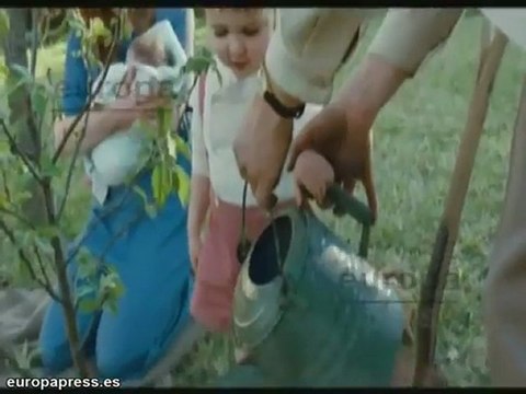 Johansson y Penn, ¿otra oportunidad?