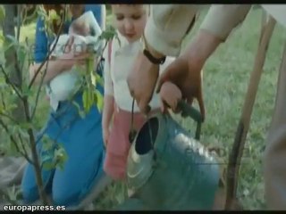 Johansson y Penn, ¿otra oportunidad?