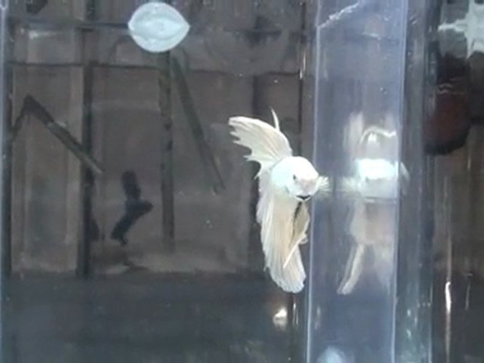 20110701193225