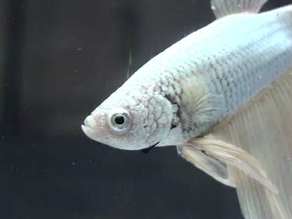 20110701193114