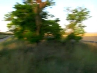 Tigem  Çiftliğinde Arıcılık 2