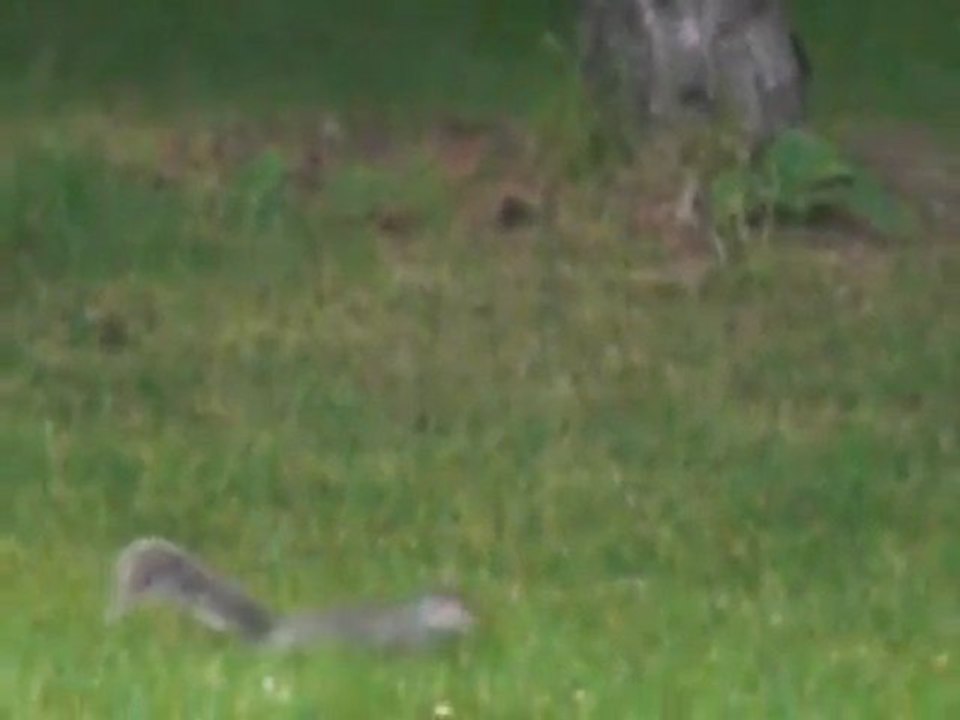 Moi dans une autre vie