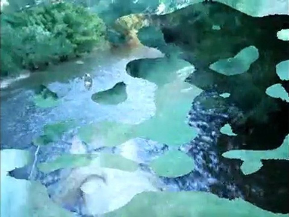 Baignade avec les fifilles