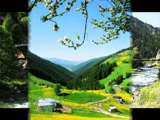 Volkan Konak- Feriğim