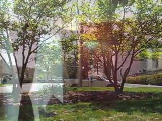 Parkway Apartments in Williamsburg, VA - ForRent.com