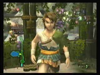 Zelda Twilight Princess [3] : Une super journée