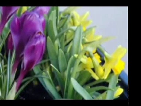 sevgili peygamberim-29