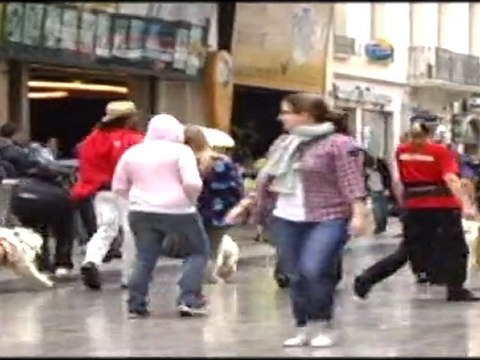La Haute-Loire à Lyon en cani-rando - Respirando