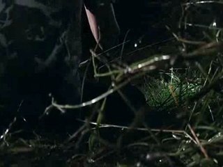 Penunggu Istana DVDRip 2011 03