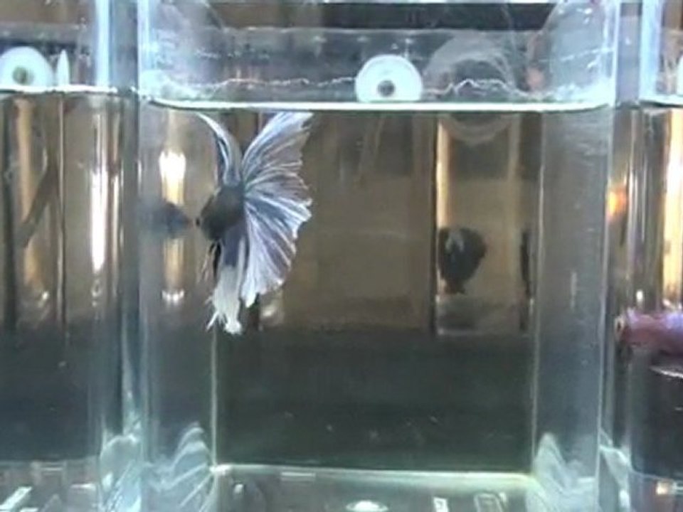 20110701201617
