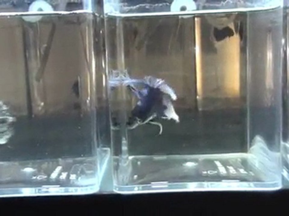 20110701201311