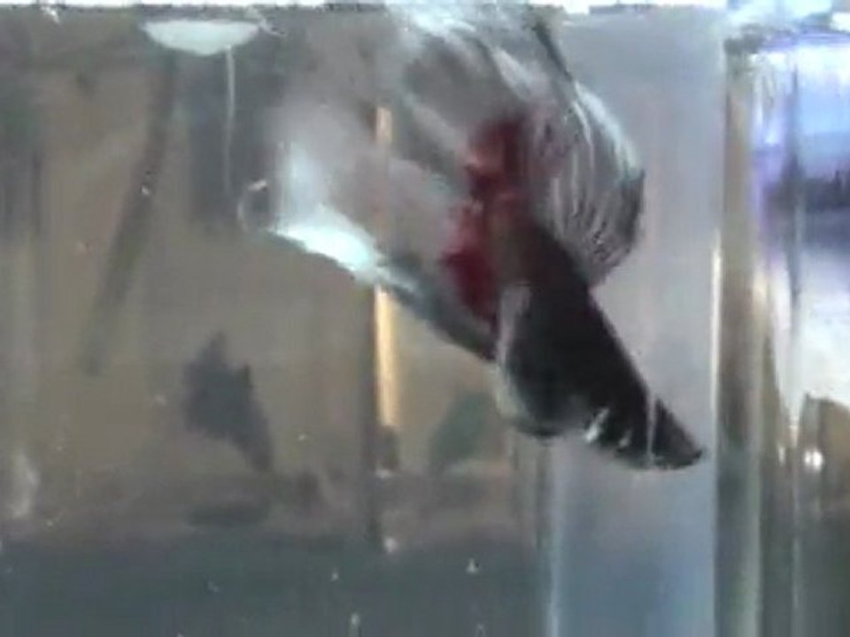 20110701201236