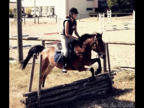 Lincoln & Moi, en Cross.