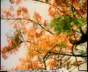 இது ஒரு பொன் மாலைப் பொழுது